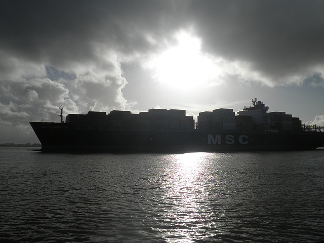 Containerschiff  MSC FIAMMETTA