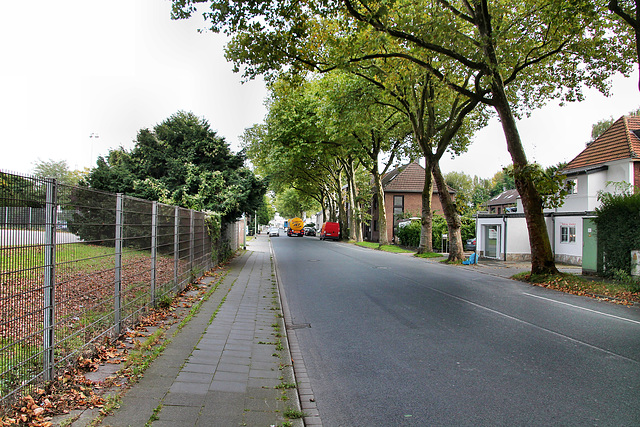 Hochstraße (Duisburg-Bergheim) / 22.09.2017