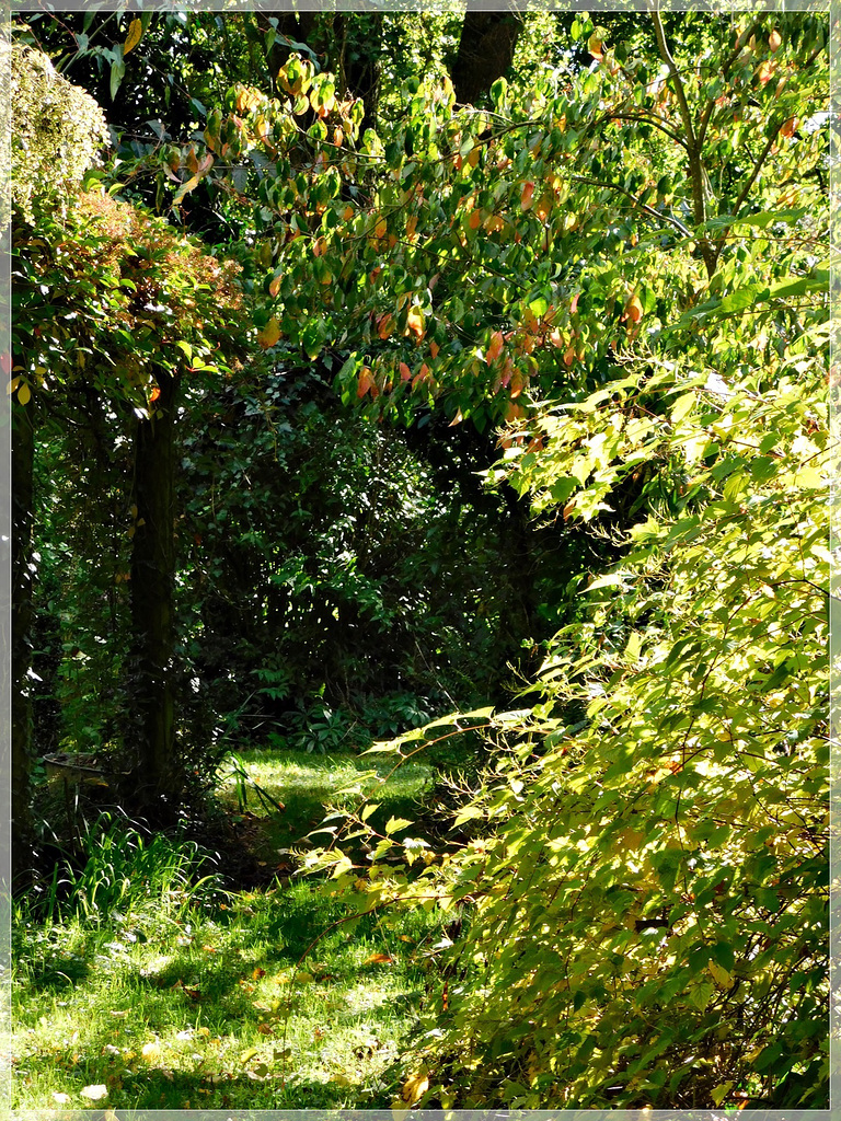 Au jardin de la Levrette à Yvignac La Tour (22)