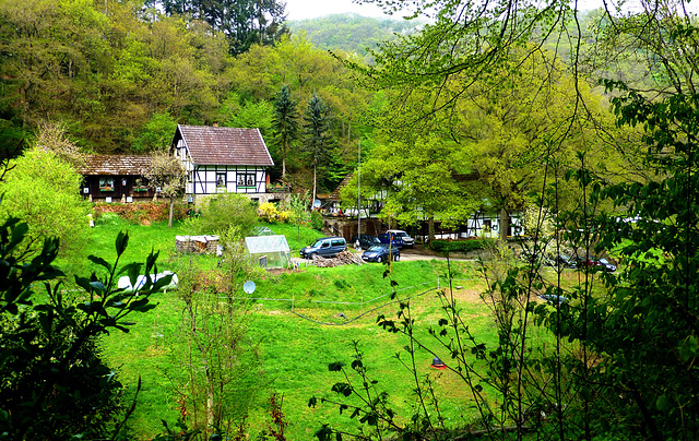 DE - Heimbach - Klosterrunde