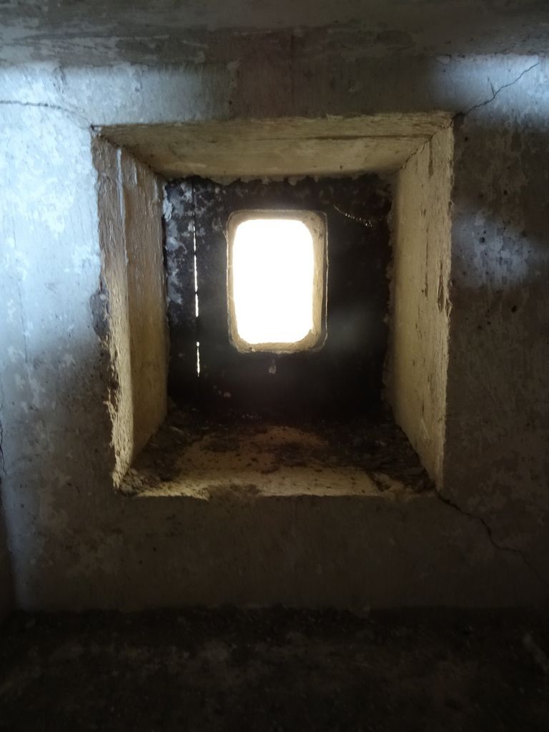 aysep2019ambas (1148)
