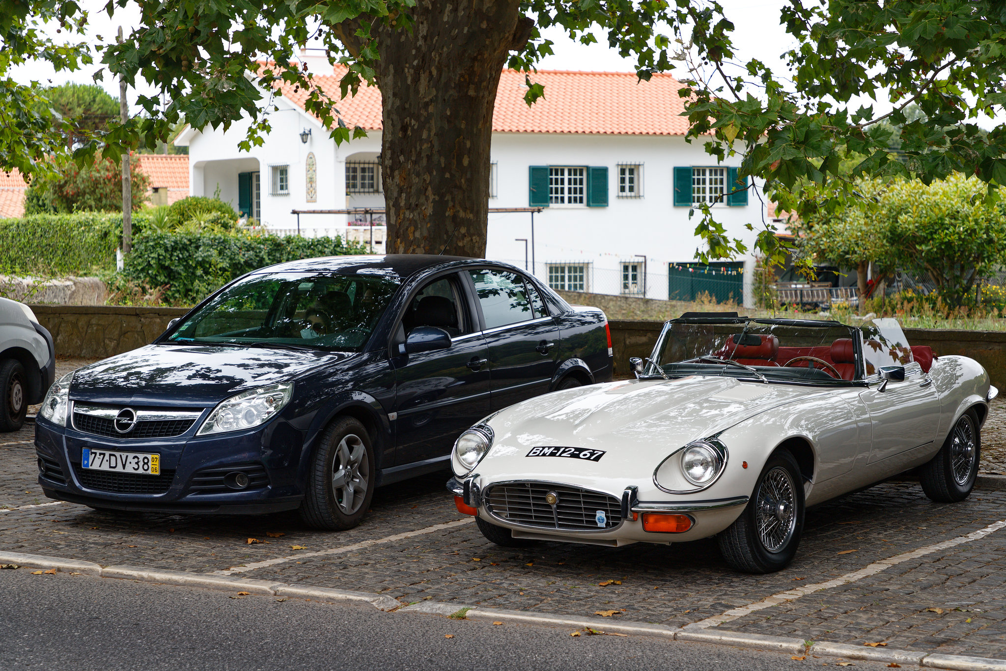 Jaguar E Type