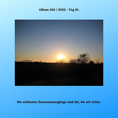 Album 365 / 2022 - Tag 81.