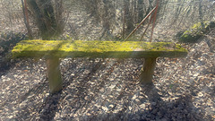 Bench near Adelsberg