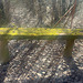 Bench near Adelsberg