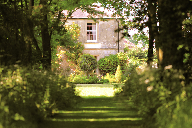 Tree Lined