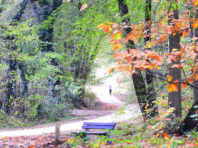 Autumn hike