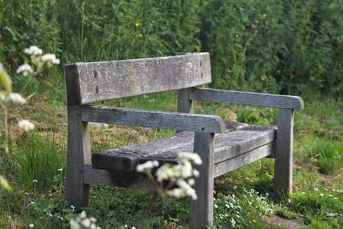 Bench for lovers to sit and enjoy....