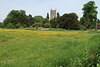 The church across the meadow