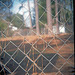 Fence with Pine Needles