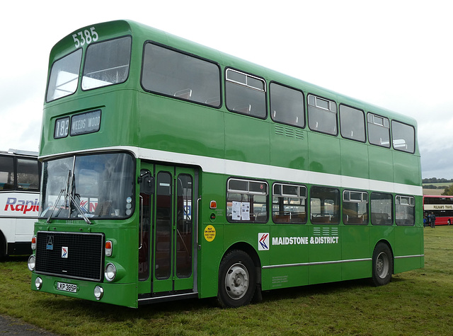 Preserved former Maidstone and District 5385 (LKP 385P) at Showbus - 29 Sep 2019 (P1040513)