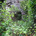 Forest of Dean ruin