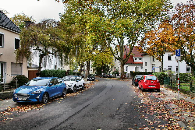 Volckmarstraße (Essen-Kettwig) / 1.11.2023