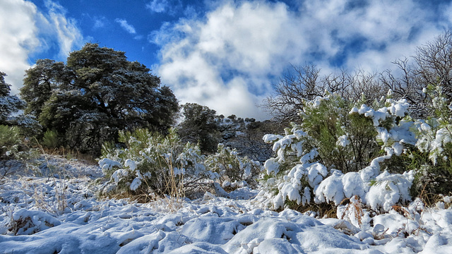 Fort Huachuca