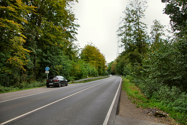 B226 Willy-Brandt-Allee (Wanne-Eickel) / 5.10.2019