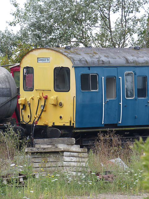 Mangapps Railway & Museum (13) - 31 August 2021