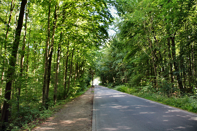 Schloß-Westhusener-Straße (Dortmund-Westerfilde) / 11.07.2020