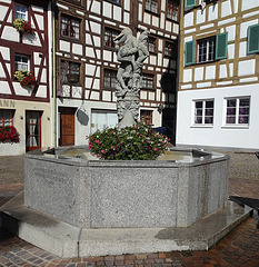 Närrisch - der Schnabelgierebrunnen in Meersburg