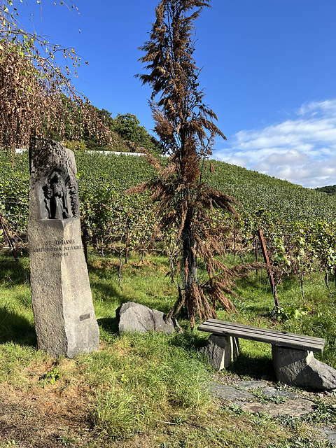 DE - Dernau - HBM aus dem Weinberg