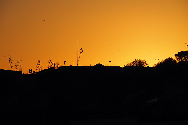 Portimao Sunset