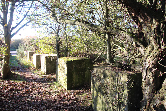 Anti-Tank Blocks, Thorpeness, Suffolk