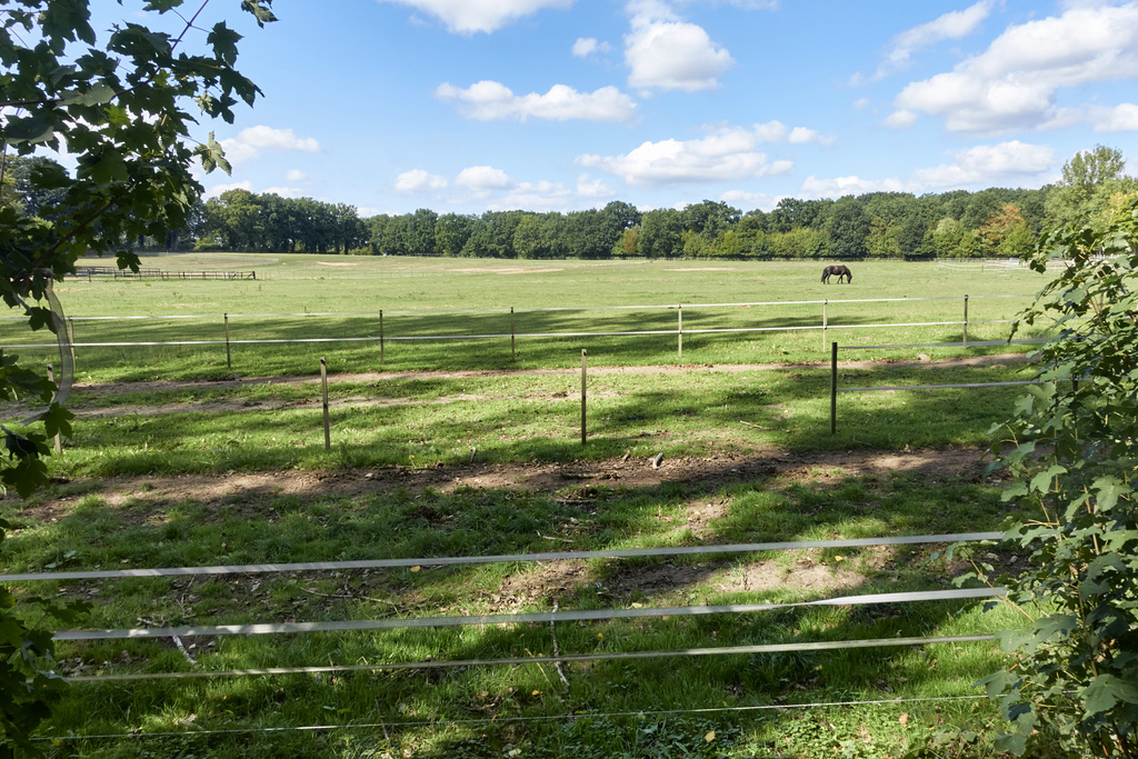 -feld-05541-co-02-09-18