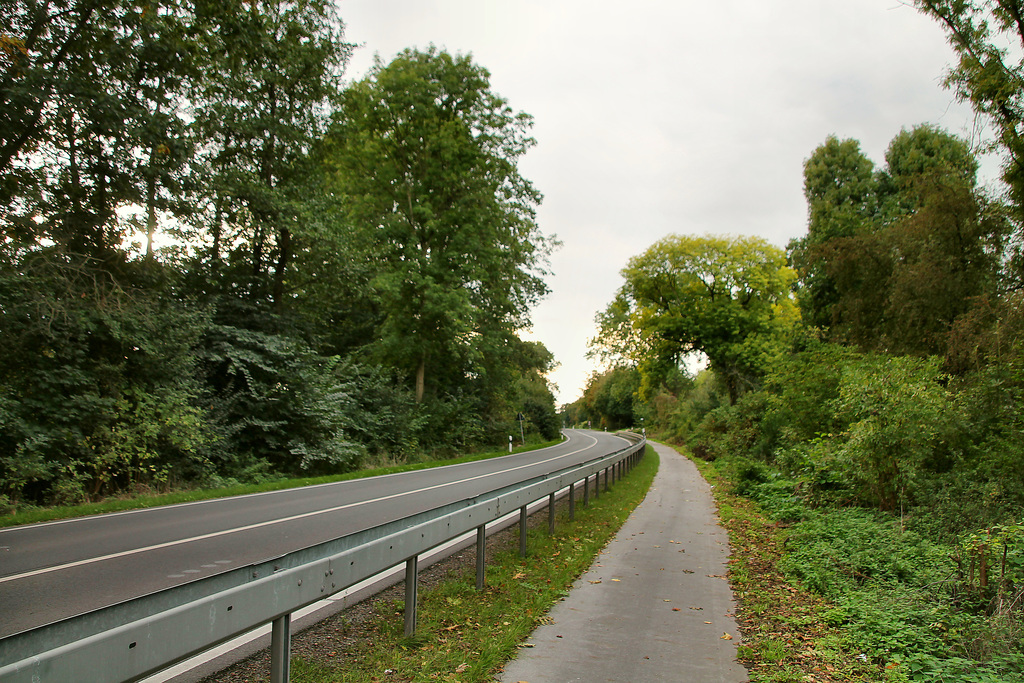 B226 Willy-Brandt-Allee (Wanne-Eickel) / 5.10.2019