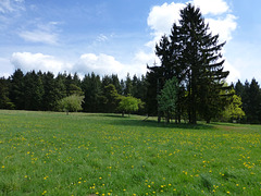 Auf dem Virneburgweg