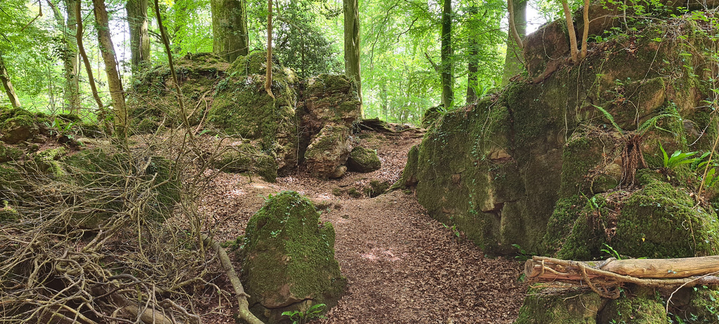 Forest of Dean quarry