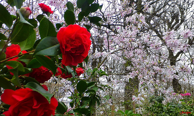 besoin de couleurs !