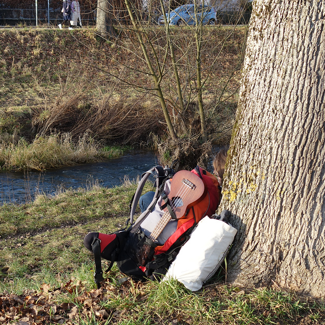 On the bank of the  river