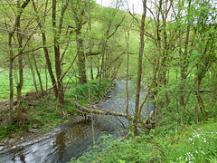 Auf dem Nette-Schieferpfad