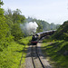 Dean Forest Railway