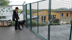 Nelly kommt ins Tierheim ;-)...