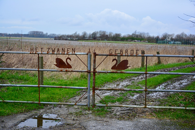 Goedereede 2018 – Het Zwanengebroed