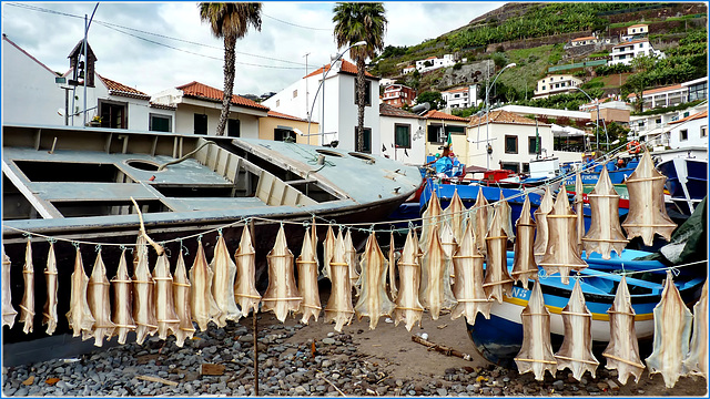 Câmara De Lobos : la spiaggia dei pescatori