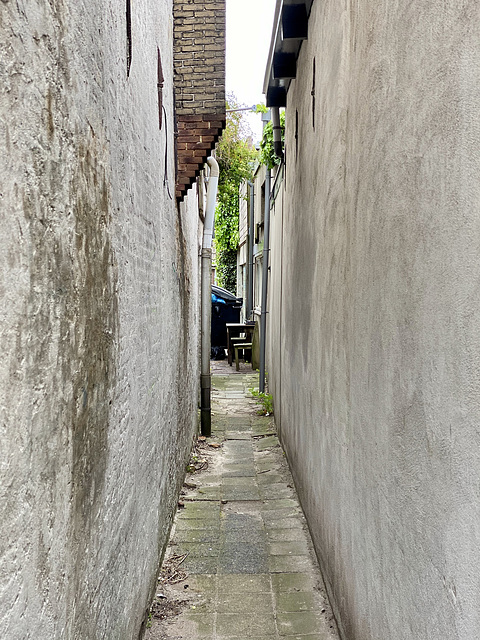 Alley