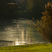 Abendlicht am Märchensee