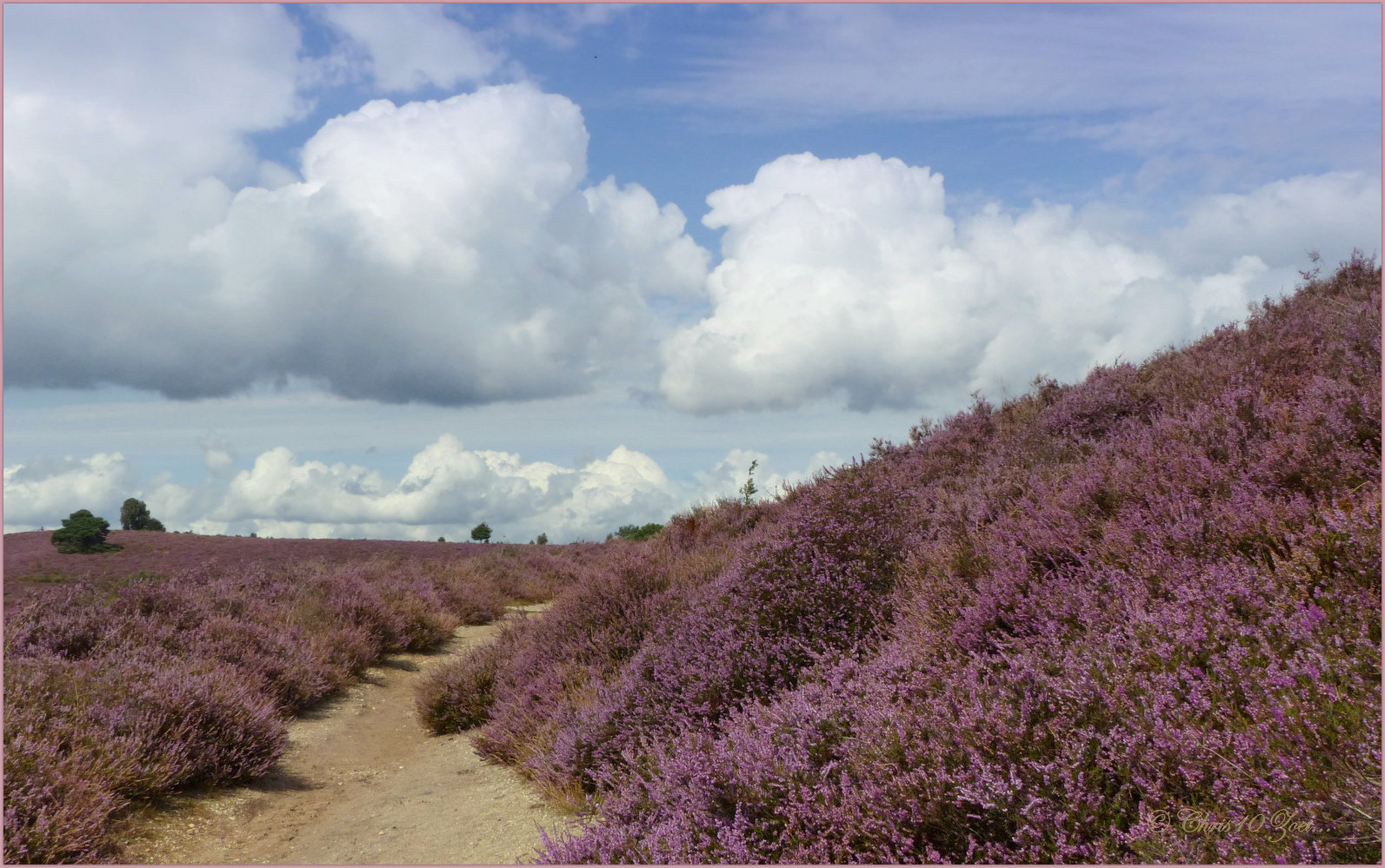 Last Year I was some Days in the neighbourhood of the 'Posbank', in the Netherlands...