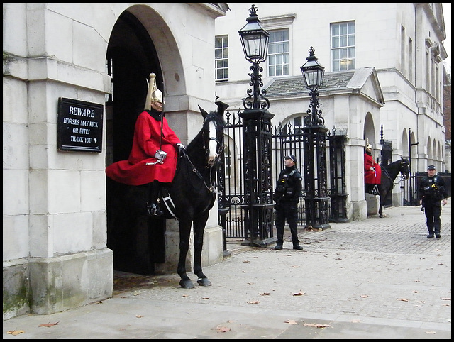 guarding the horseguards