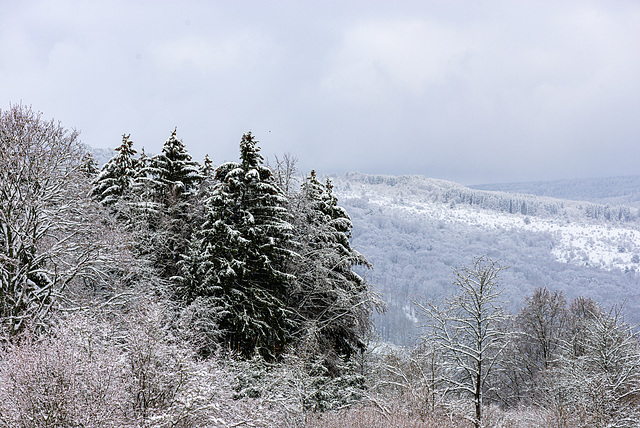 Rhön - 20210101