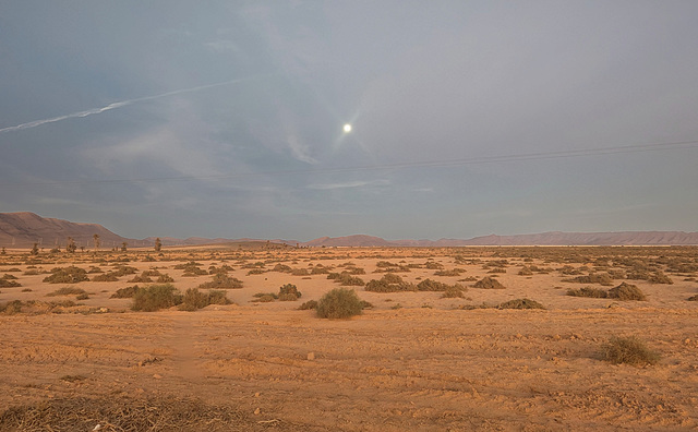 Instant magique à saveur désertique / Magischer moment mit wüstenduft