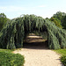 Arch at Planting Fields, May 2012