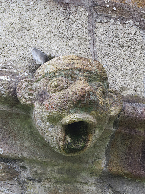 plympton st mary church, devon