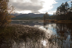 Loch Morlich