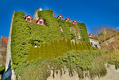 Burgengasse-Rothenburg ob der Tauber