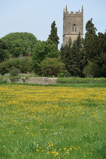 The church across the meadow