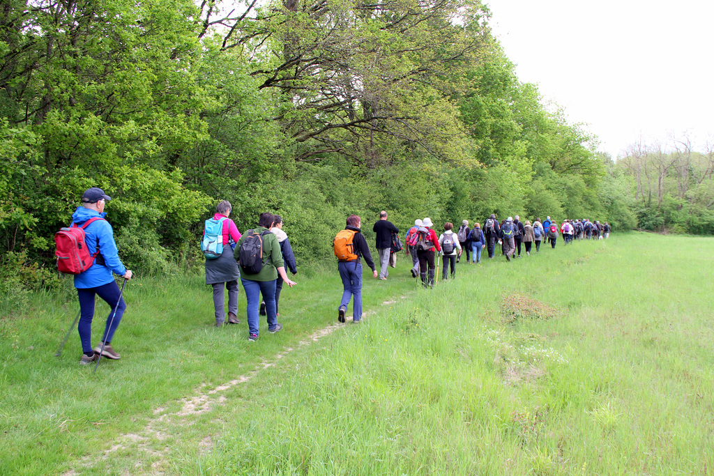 Randonnée du 18/05/2019