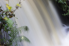 River Porter waterfall (5)