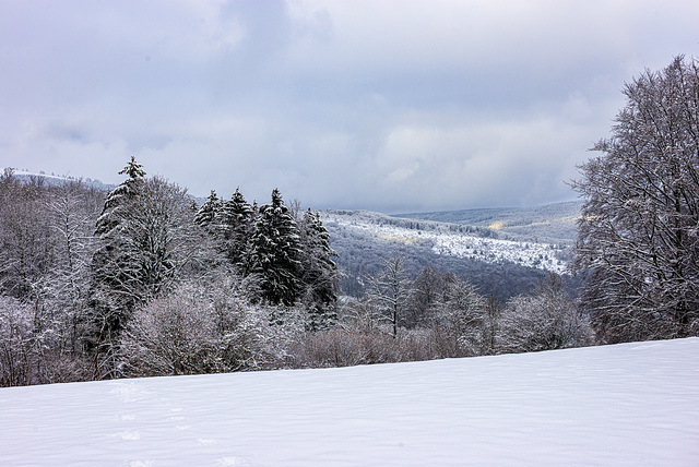 Rhön - 20210101